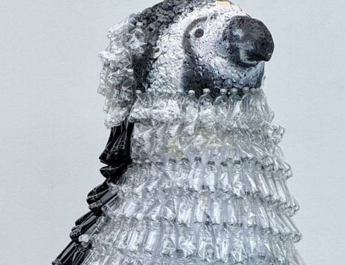 Water showcases plastic pollution crisis with London Zoo installation